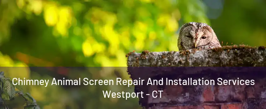 Chimney Animal Screen Repair And Installation Services Westport - CT