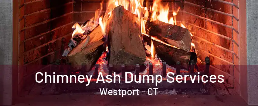 Chimney Ash Dump Services Westport - CT