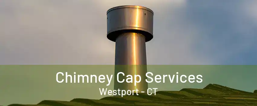 Chimney Cap Services Westport - CT