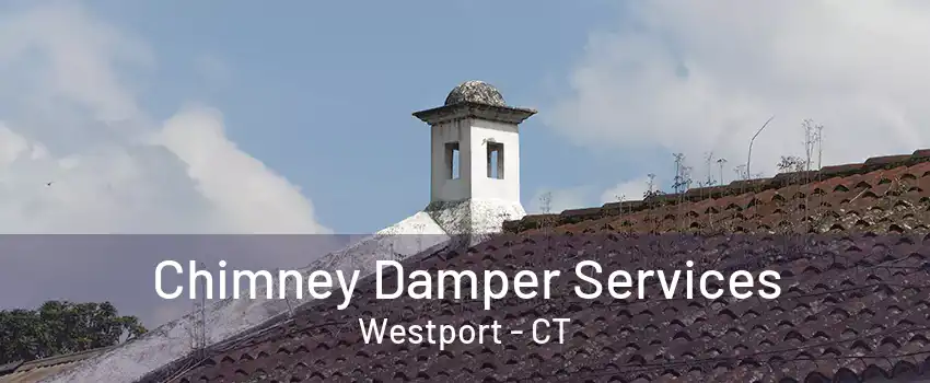 Chimney Damper Services Westport - CT