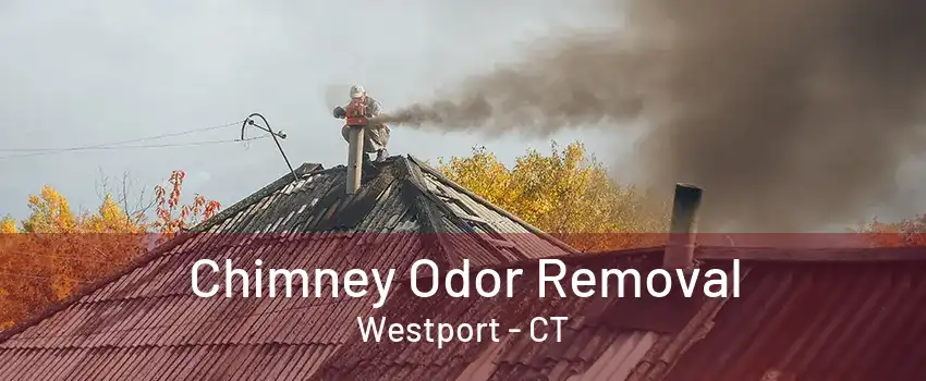 Chimney Odor Removal Westport - CT