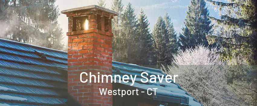 Chimney Saver Westport - CT