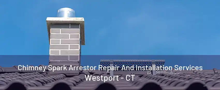 Chimney Spark Arrestor Repair And Installation Services Westport - CT