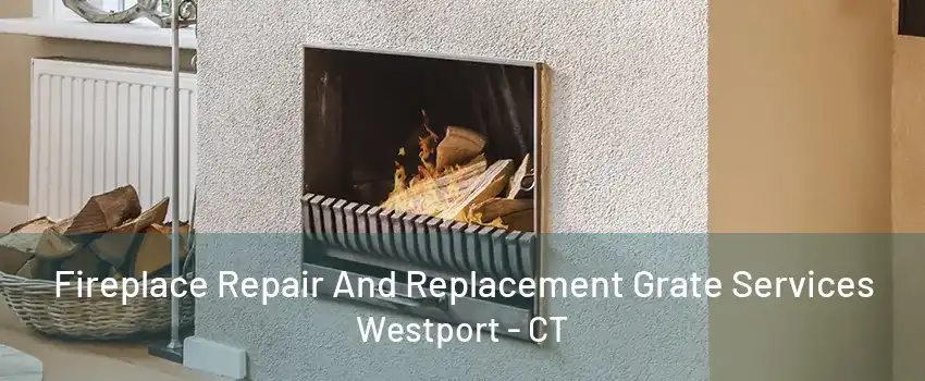 Fireplace Repair And Replacement Grate Services Westport - CT