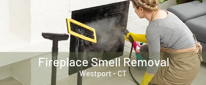 Fireplace Smell Removal Westport - CT