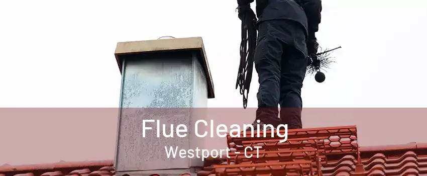 Flue Cleaning Westport - CT