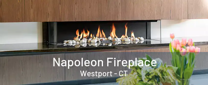 Napoleon Fireplace Westport - CT