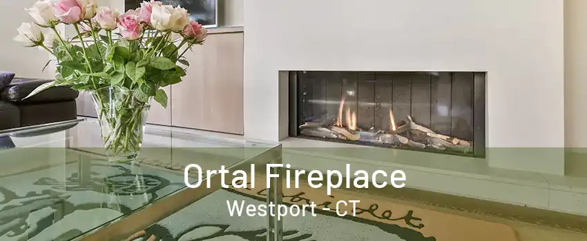 Ortal Fireplace Westport - CT